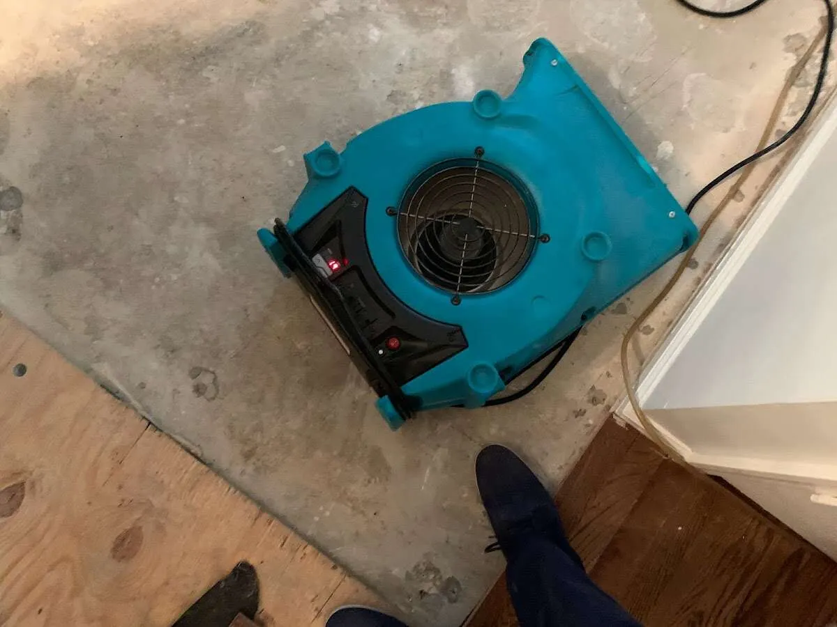 Air mover drying subfloor during Commercial Water Damage Restoration in Chandler